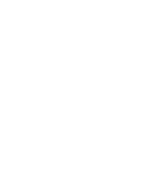 Το έμβλημα της Cybernetics Development — προφίλ κεφαλιού με νευρωνικό δίκτυο, σε γυάλινη πλάκα